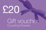 Gift voucher GBP 20